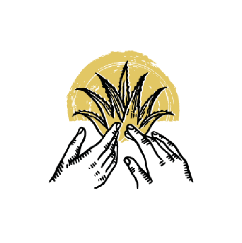 logo-mezcal-brothers